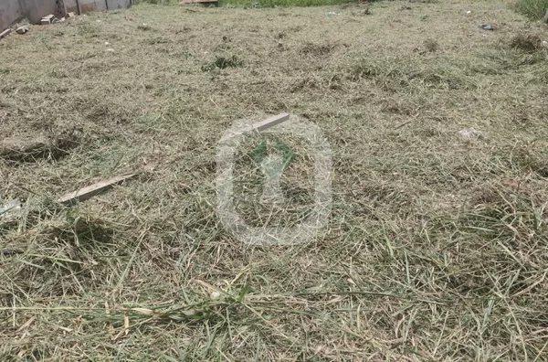 Terreno, Bairro Pitangueiras, Pouso Alegre MG