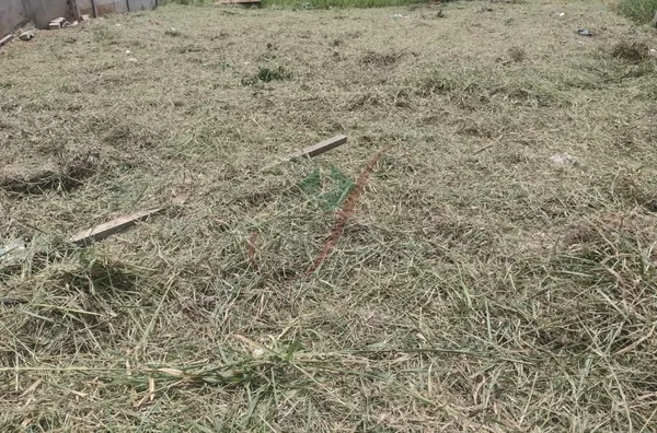 Terreno, Bairro Pitangueiras, Pouso Alegre MG