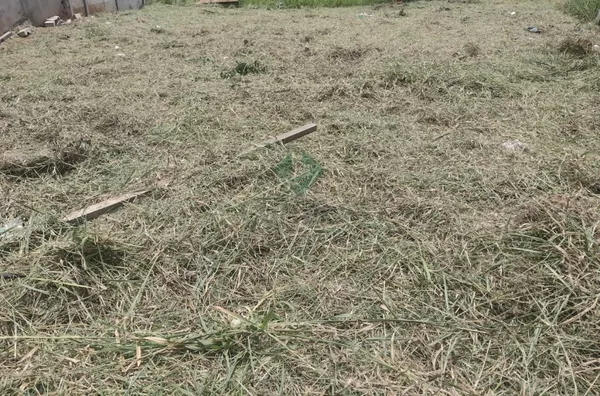 Terreno, Bairro Pitangueiras, Pouso Alegre MG