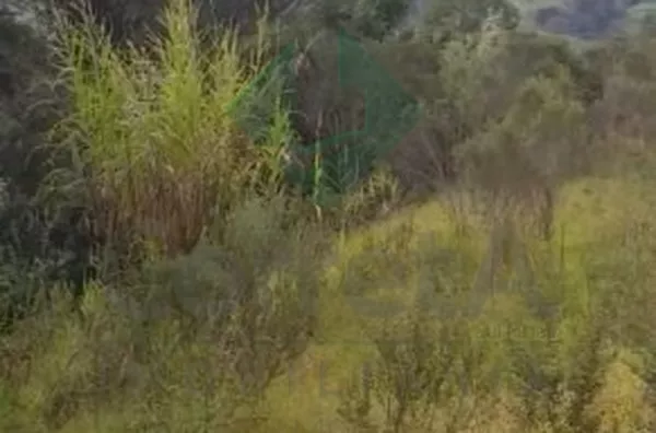 Terreno rural de 2000m² escriturado estuda permuta