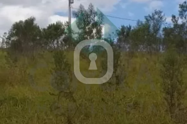 Terreno rural de 2000m² escriturado estuda permuta