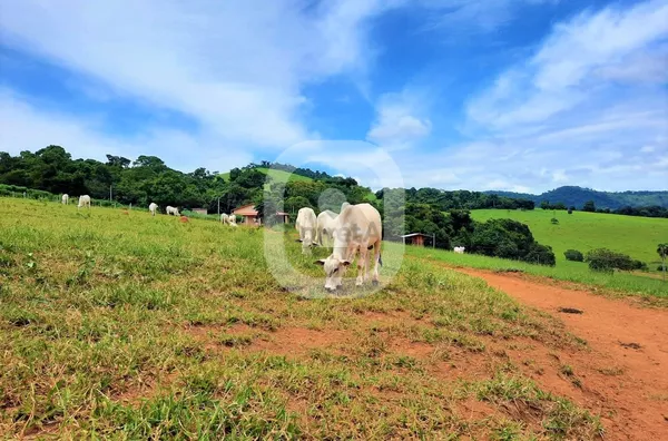 Chácara para venda, Bairro Imbuia, Pouso Alegre MG