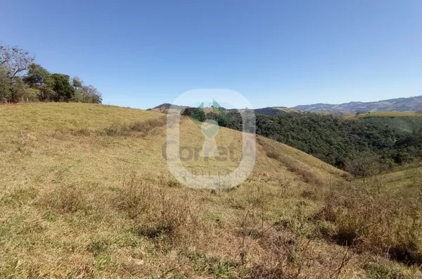 Área Rural, em fase final inventário, Bairro Mandu, Ouro Fino MG