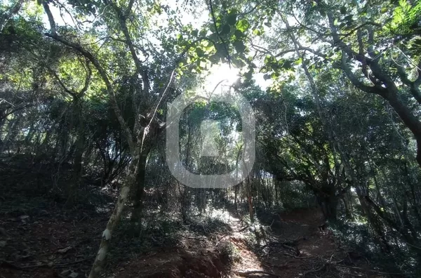 Área Rural, em fase final inventário, Bairro Mandu, Ouro Fino MG