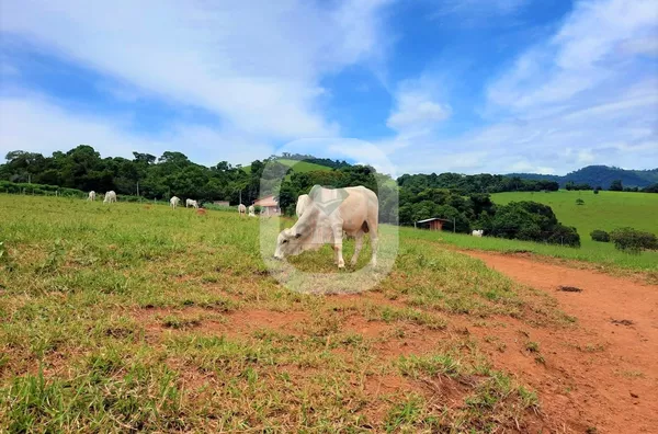 Chácara para venda, Bairro Imbuia, Pouso Alegre MG