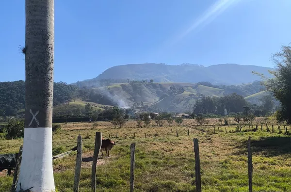 Área para venda,  Bairro São Domingos, Congonhal