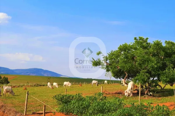 Chácara para venda, Bairro Imbuia, Pouso Alegre MG