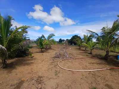Lote 1000m² em Barra do Choça Ba. - Foto 5