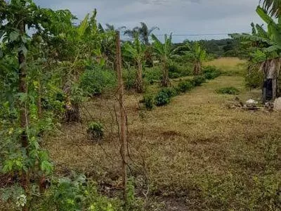 Vende-se Chácara na Zona Rural em Barra do Choça - Foto 2