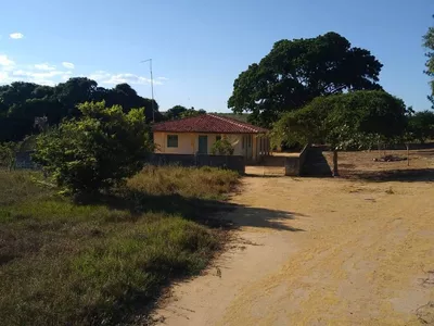 Vendo Fazenda com 726 hectares de área plana, Lagoa Preta, município de Tremedal - BA - Foto 8