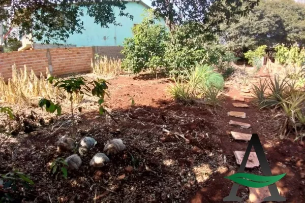 Congonhas - Terreno - Centro - Foto 5
