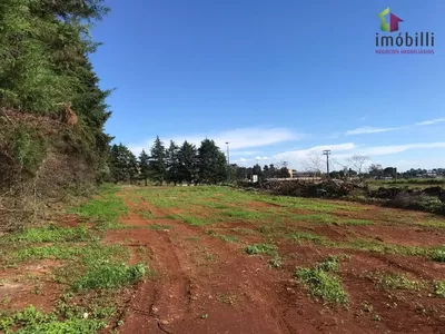Terreno na PR 280, Trevo p/ Pato Branco com 45.454 - Foto 5