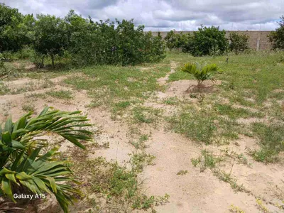Sítio à Venda, zona Rural , São Sebastião do Passé, BA - Foto 19