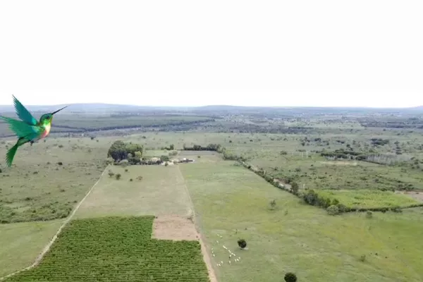 Otima Fazenda à Venda, Zona Rural , Barra do Choça, BA - Foto 4