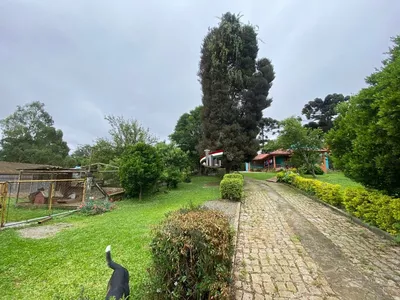Terreno/chácara para venda no Tatuquara/Campo do Santana com 10.000m² Curitiba - Foto 30