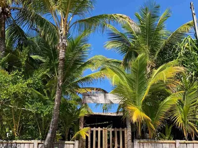 Casa, terreno à Venda Em Barra Grande, Vila, Maraú, BA - Foto 8