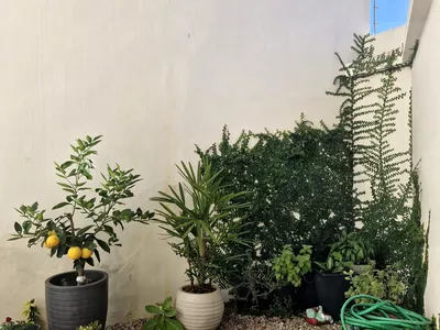 Casa à venda em Brumado 3/4 sendo uma suíte - Foto 31