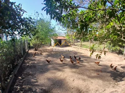 Chácara à venda em Ártemis com 85 mil metros de terreno e dois tanques de água - Foto 82