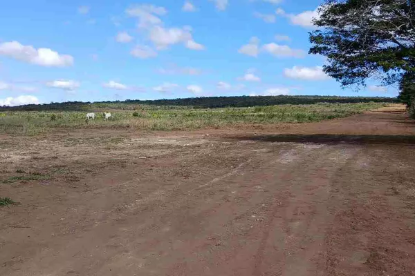Loteamento à Venda Beira da BA 265 , Perto do Alphaville, Vitória da Conquista, BA - Foto 6