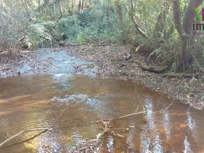 Chácara com 04 Alqueires para venda a 6km do PB Shopping em Pato Branco - Foto 9