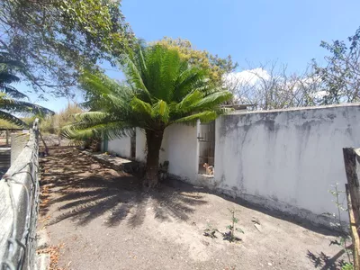 Sítio a venda na Lagoa das Flores com 2 casas, árvores frutíferas, poço artesiano, irrigação, - Foto 13