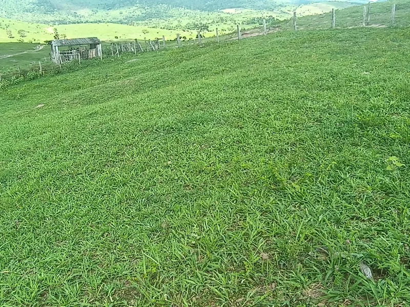 Fazenda à Venda, Zona , Caatiba, BA - Foto Principal