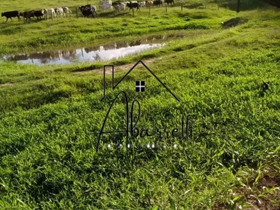 Sítio à venda com 20.854 m² em Manduca Coelho - Foto 16