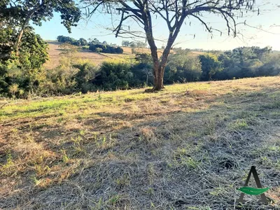 Cambé - Chácara - Santa Maria - Foto 3