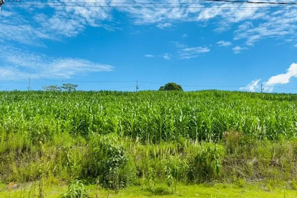 Terreno em aclive (acima do nível da rua) para venda,  Fraron, Pato Branco - Foto 1
