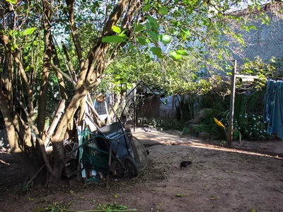 Chácara à venda no bairro Tupi, com 1.650 m² de terreno, nascente de água, piscina e 2 quartos - Foto 43