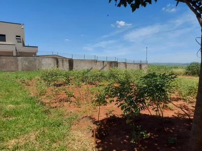 Terreno à venda de 250m² no bairro Taquaral - Foto 3