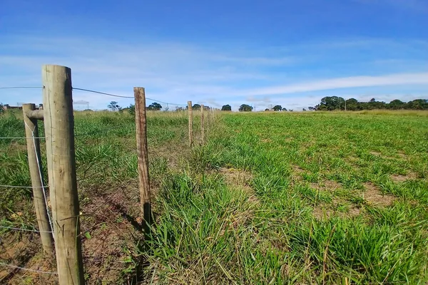 Lote 1000m² em Barra do Choça Ba. - Foto 2