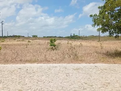 Terreno para venda,  Pecém, São Gonçalo Do Amarante - Foto 6