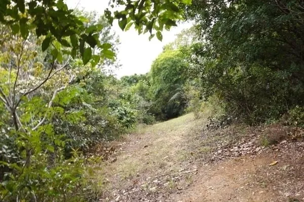 Chácara à venda, Nova Abrantes (Abrantes), Camaçari, BA - Foto 2
