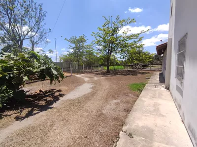 Sítio a venda na Lagoa das Flores com 2 casas, árvores frutíferas, poço artesiano, irrigação, - Foto 5