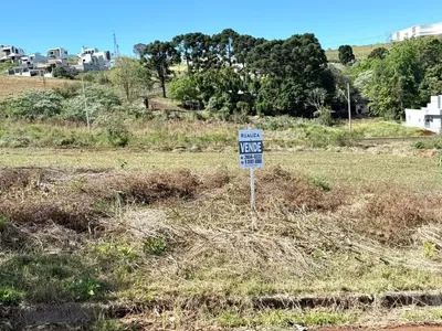 Terreno para venda no Bairro  São Luiz em Pato Branco-PR próximo ao PB Shopping - Foto 4