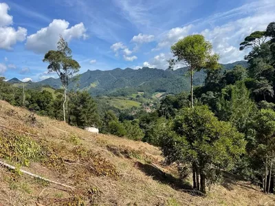 Terreno São Pedro Da Serra - Foto 10