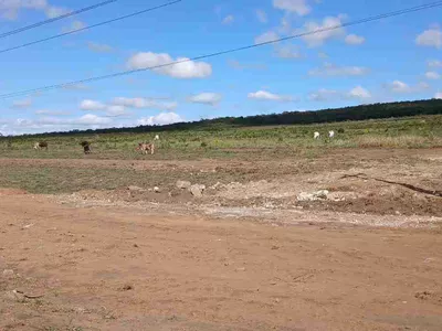 Loteamento à Venda Beira da BA 265 , Perto do Alphaville, Vitória da Conquista, BA - Foto 3