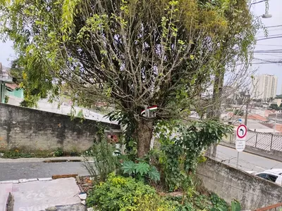 Terreno ZR4 para venda no Capão Raso com 420m² - Foto 10