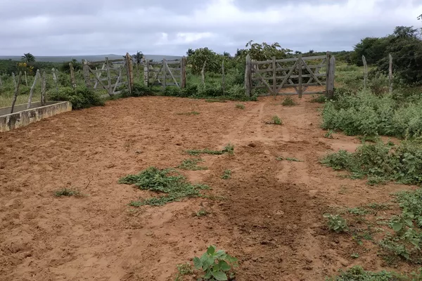 FAZENDA A VENDA REGIÃO DO MORRO DO CHAPÉU - Foto 2