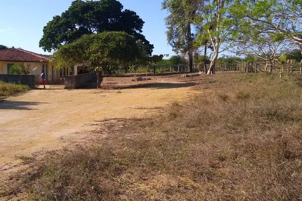 Vendo Fazenda com 726 hectares de área plana, Lagoa Preta, município de Tremedal - BA - Foto 4