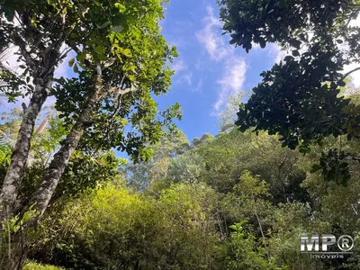 Sítio com 20 mil metros,  Lumiar, Nova Friburgo - Foto 4