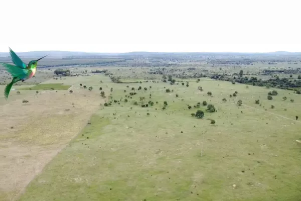 Otima Fazenda à Venda, Zona Rural , Barra do Choça, BA - Foto 1