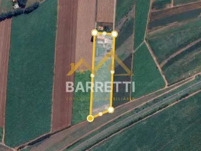 Sítio com 3,3 hectares à Venda entre Limeira e Cosmópolis - Foto 3
