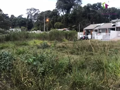 Terreno com fundos para Reserva - Foto 7