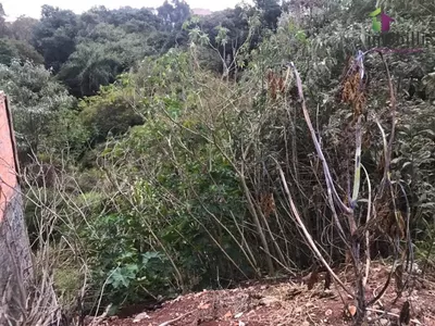 Terreno com fundos para Reserva - Foto 6