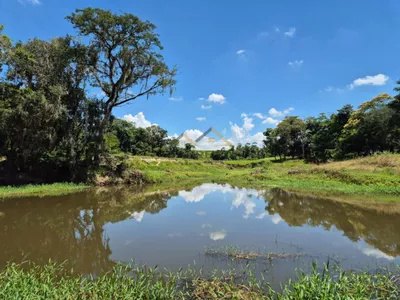 Sítio de 6,6 hectares com água, solo fértil e alto potencial produtivo à venda no Manduca Coelho - Foto 2