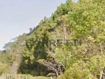 Terreno de 5.780 m² à venda em Artemis - Foto 12