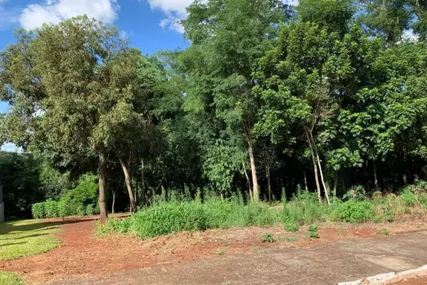 Terreno para venda - Foto 4