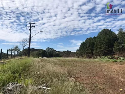 Terreno na PR 280, Trevo p/ Pato Branco com 45.454 - Foto 8